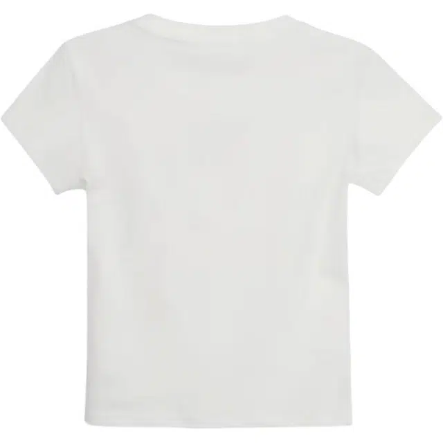PLANE DRIFT T