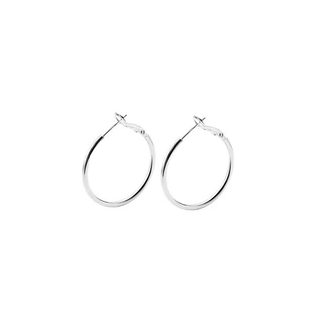 饰伴 环绕 新中式国潮轻奢时尚高级浪漫 小众独特众设计日常百搭 好运 合金 耳环 男女同款情侣款