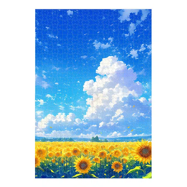 1000pcs DIY