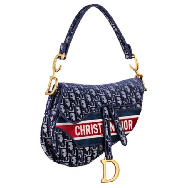 DIOR Saddle Oblique