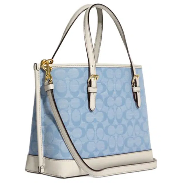 COACH Mollie 25 Tote