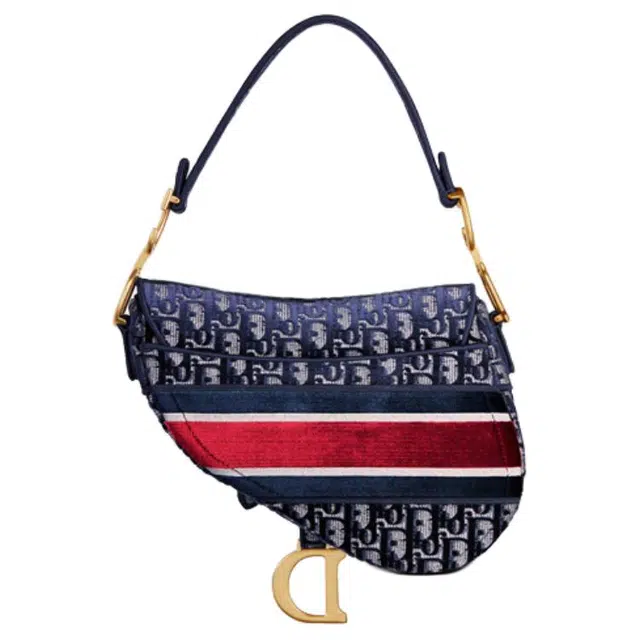 DIOR Saddle Oblique