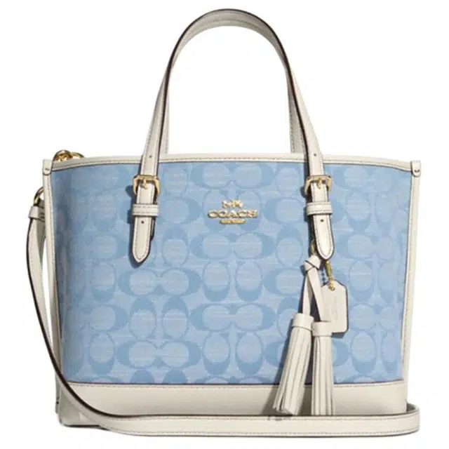 COACH Mollie 25 Tote