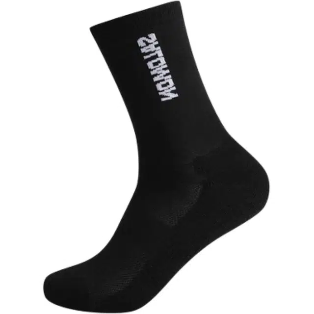 SALOMON 1
