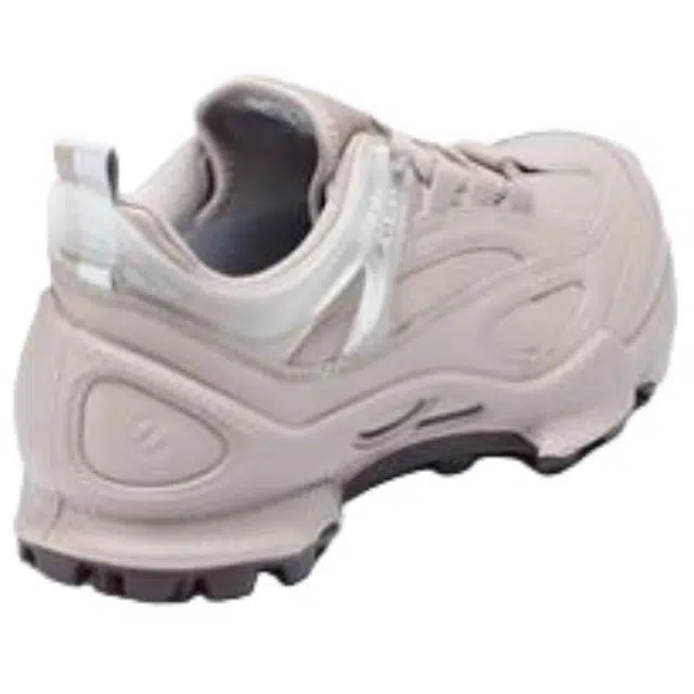 ecco Biom C Trail