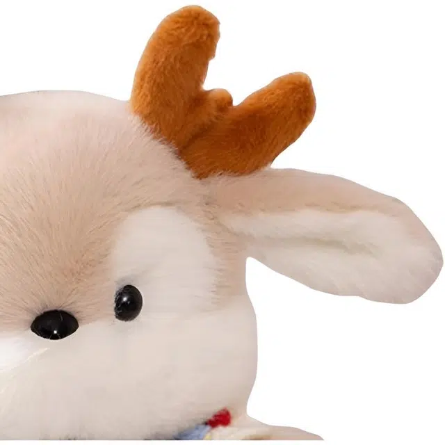 FKOFR 30cm40cm
