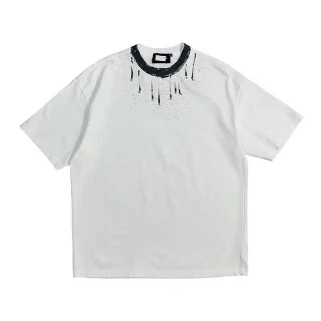 PINSCIO ZENIE T