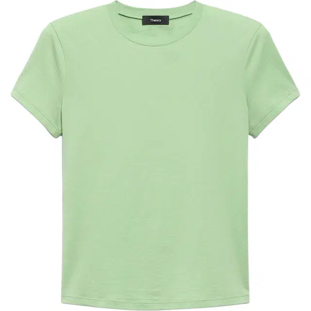 THEORY T