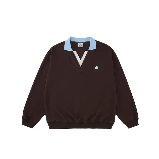 RASS V