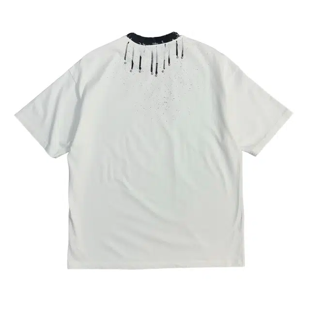 PINSCIO ZENIE T