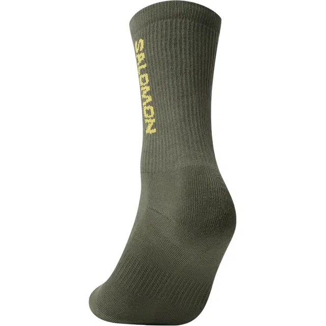 SALOMON Logo 1