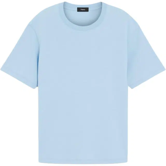 THEORY T