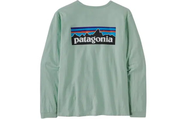 patagonia P-6 Logo Responsibili-Tee T