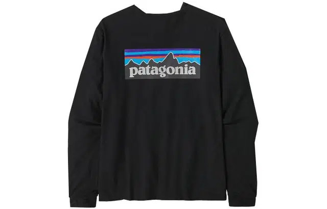 patagonia P-6 Logo Responsibili-Tee T