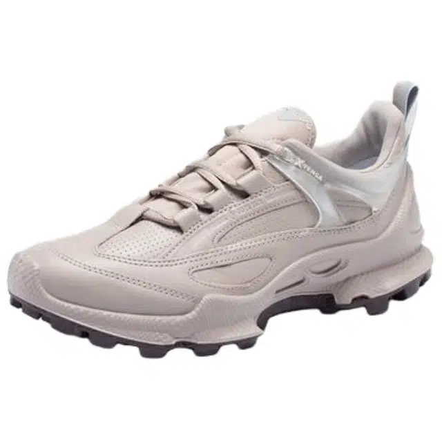 ecco Biom C Trail