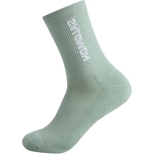 SALOMON 1