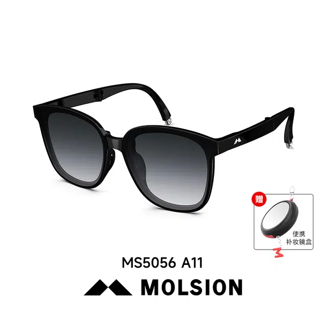 MOLSION