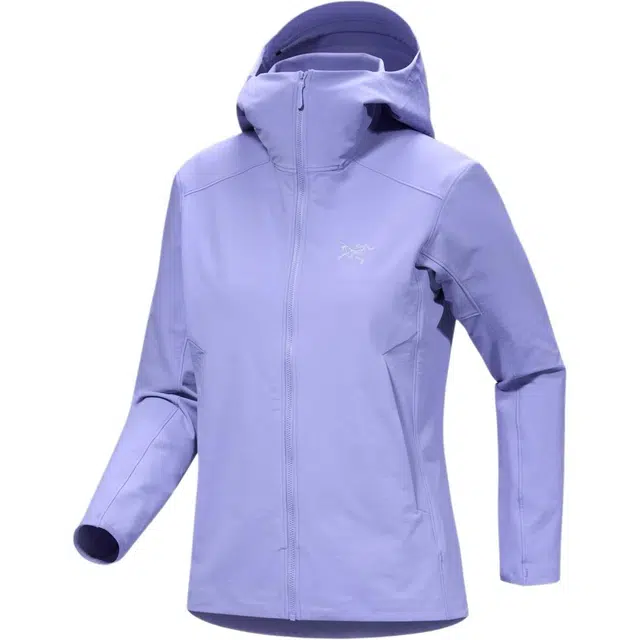 Arcteryx Gamma Hoody