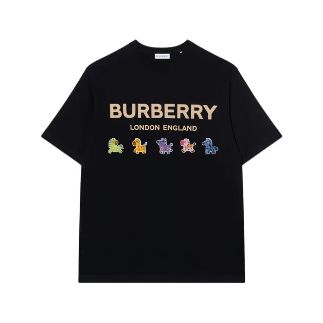 Burberry logoT