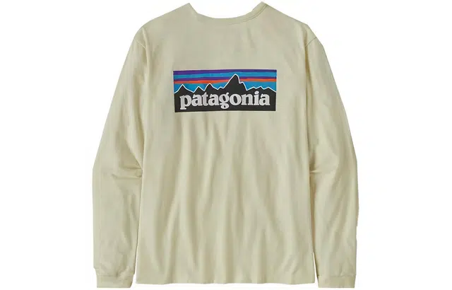 patagonia P-6 Logo Responsibili-Tee T