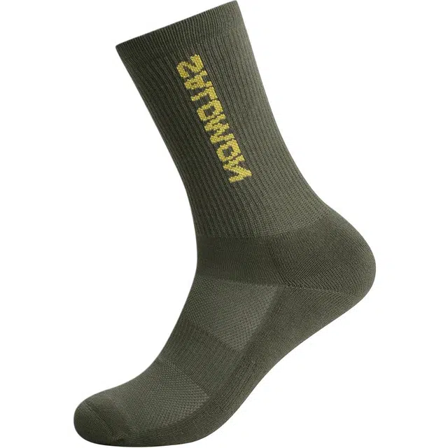 SALOMON Logo 1