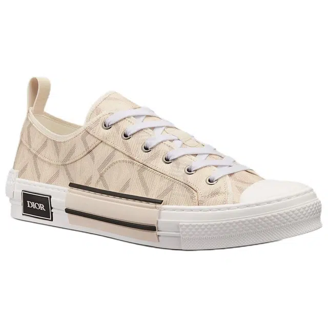 DIOR B23