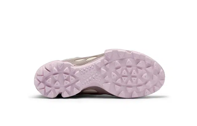 ecco Biom C Trail