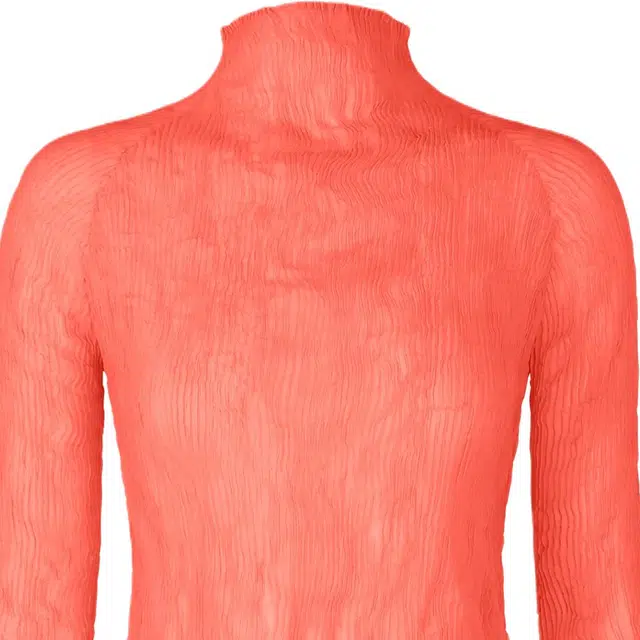 ISSEY MIYAKE FW25 T