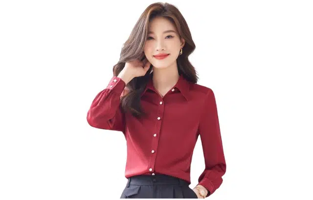 唐娜姿兰 新款流行气质职业长袖衬衫 女款