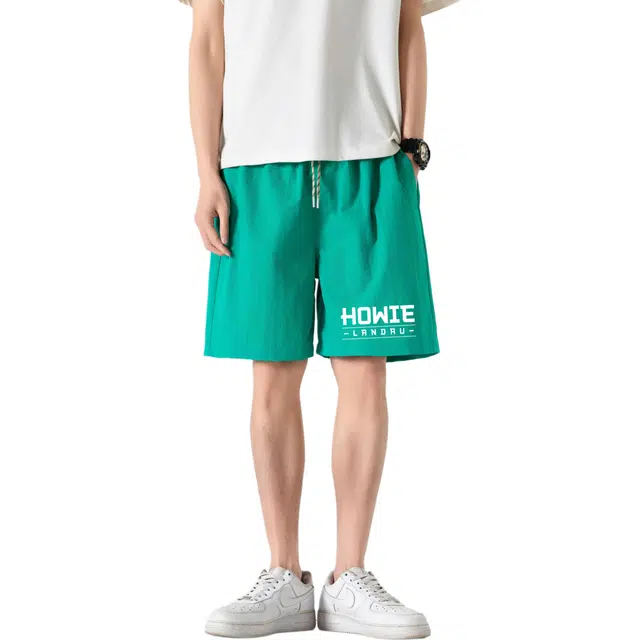 HOWIE LANDAU Logo