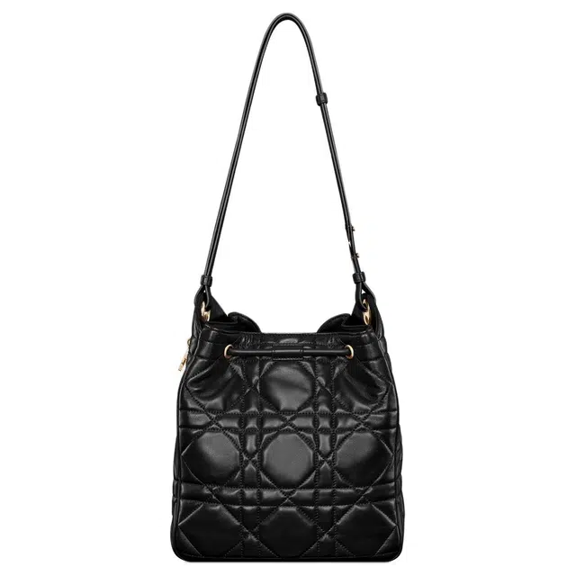 DIOR D-Motion