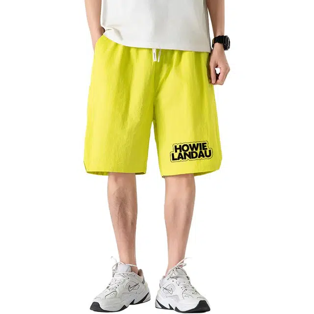 HOWIE LANDAU Logo