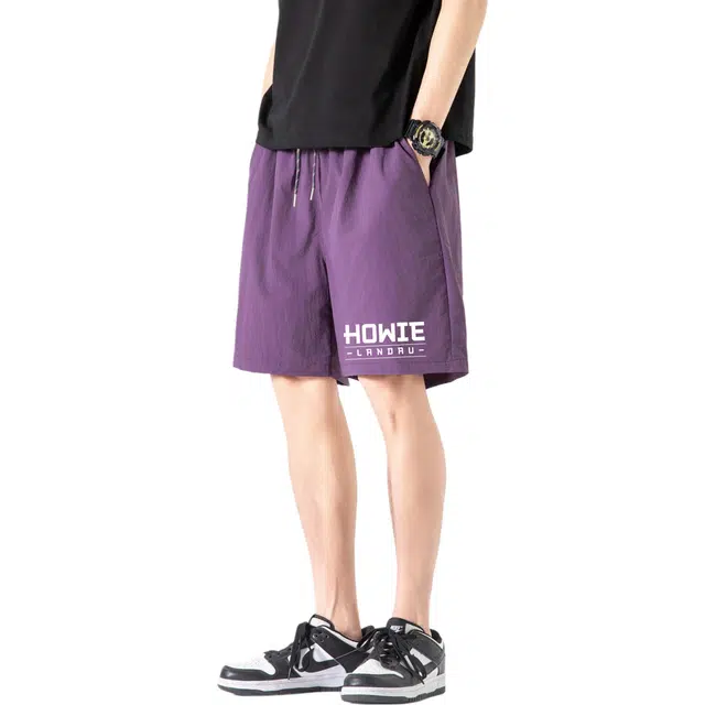 HOWIE LANDAU Logo