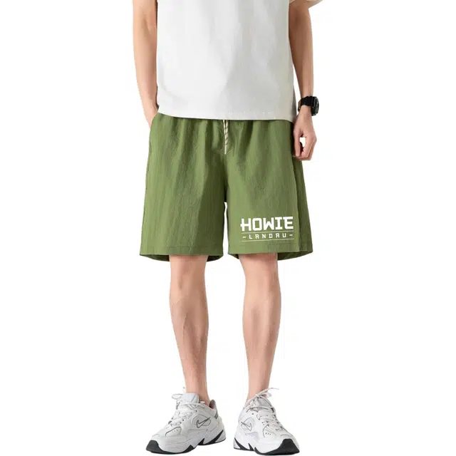HOWIE LANDAU Logo
