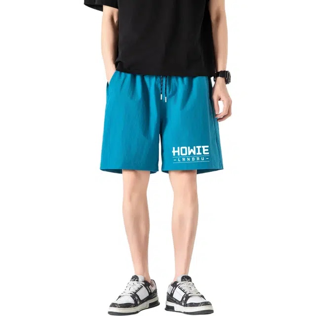 HOWIE LANDAU Logo