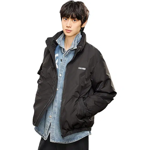 三福 时尚休闲无帽立领舒适羽绒服 男款