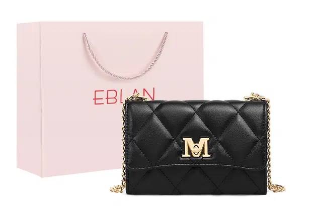 EBLAN ins