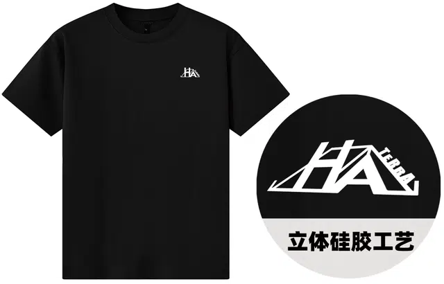 T3DT