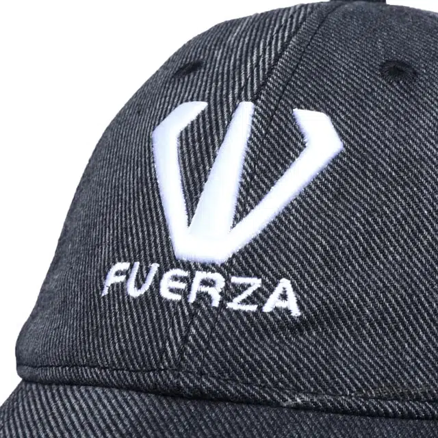 FUERZA