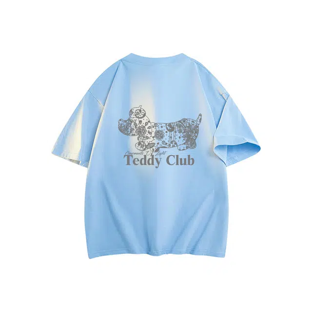 TEDDY College LOG0T