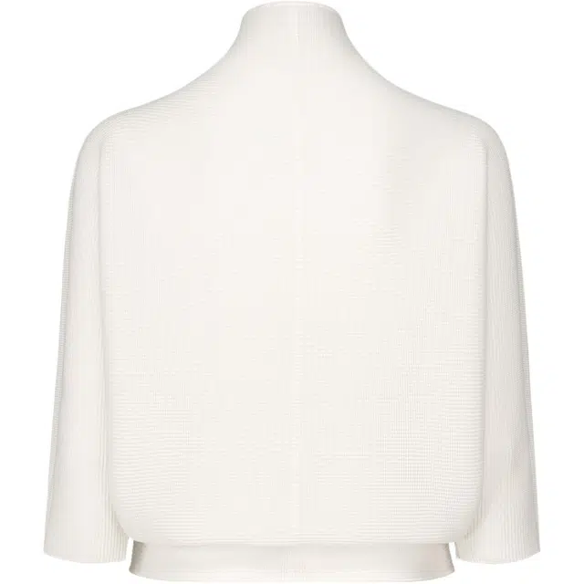 ISSEY MIYAKE FW25