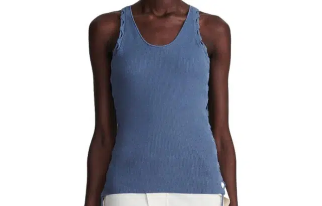DION LEE