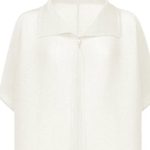 ISSEY MIYAKE FW25