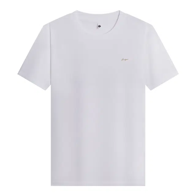 JUDGER T