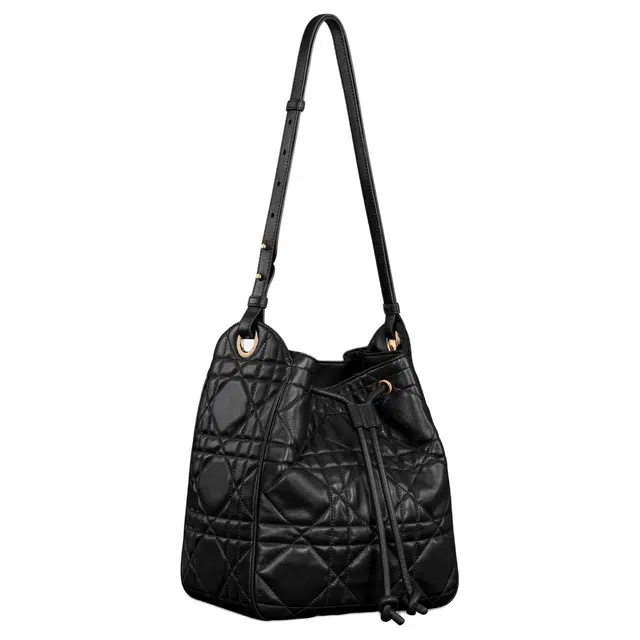 DIOR D-Motion