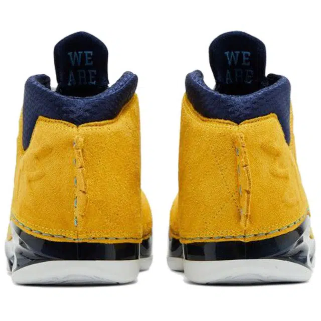 Jordan Air Jordan 23 Retro