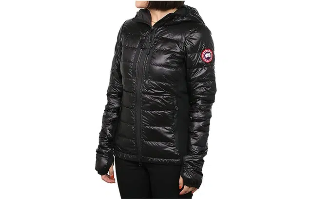 Canada Goose