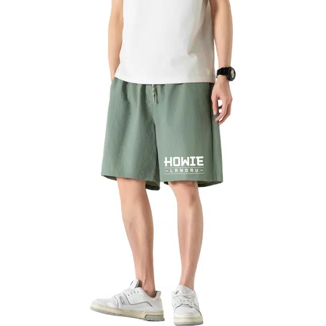 HOWIE LANDAU Logo