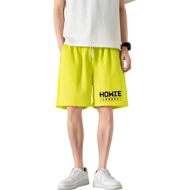 HOWIE LANDAU Logo