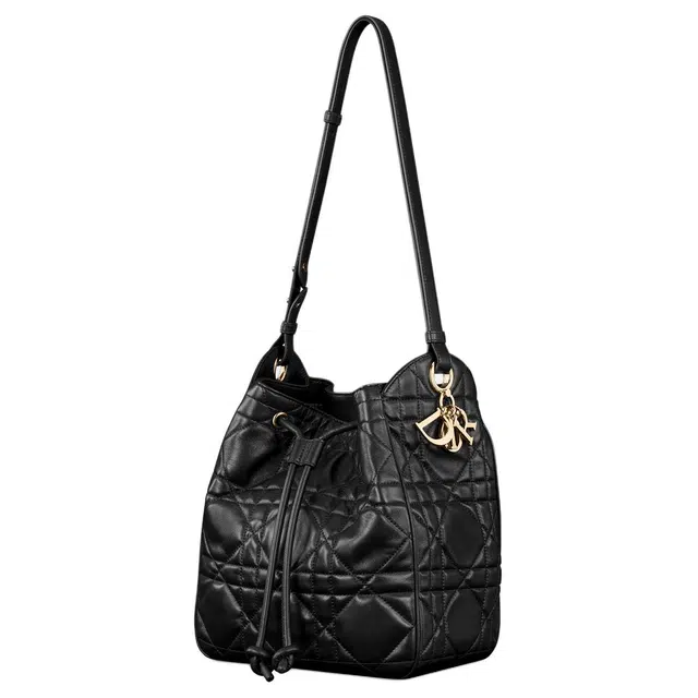 DIOR D-Motion